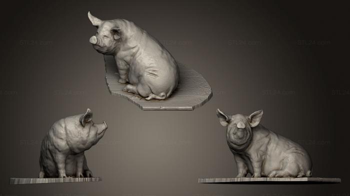 Статуэтки животных (Большая Свинья, STKJ_0488) 3D модель для ЧПУ станка
